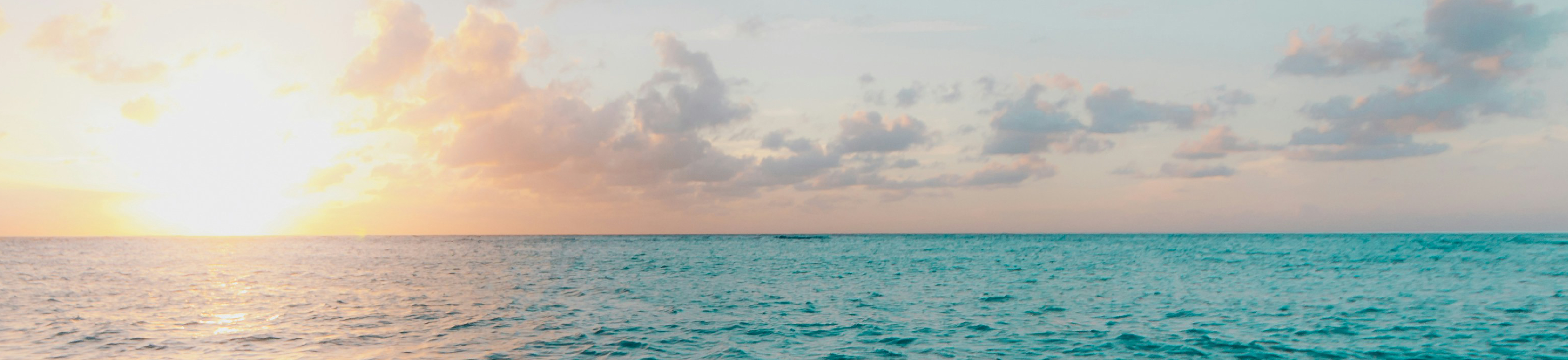 Tropical beach with turquoise waters.